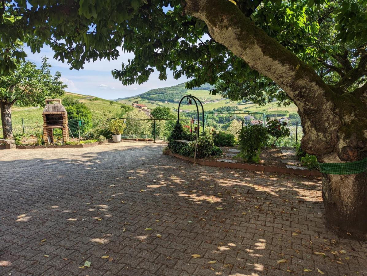 Beaujeu Domaine Viticole Philippe Deschamps住宿加早餐旅馆 外观 照片